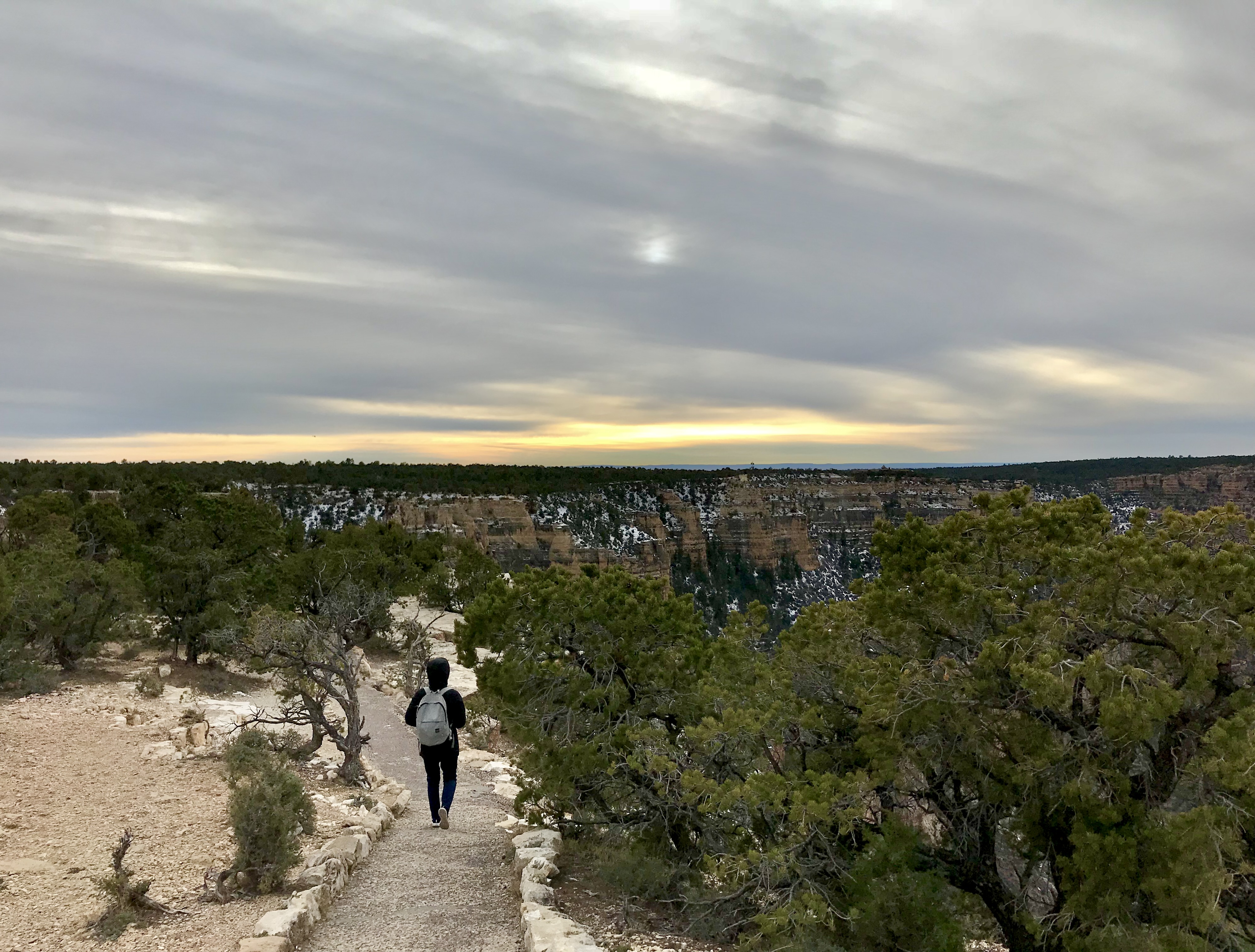Dulanga Jayawardena strolling along Grand Canyon National Park